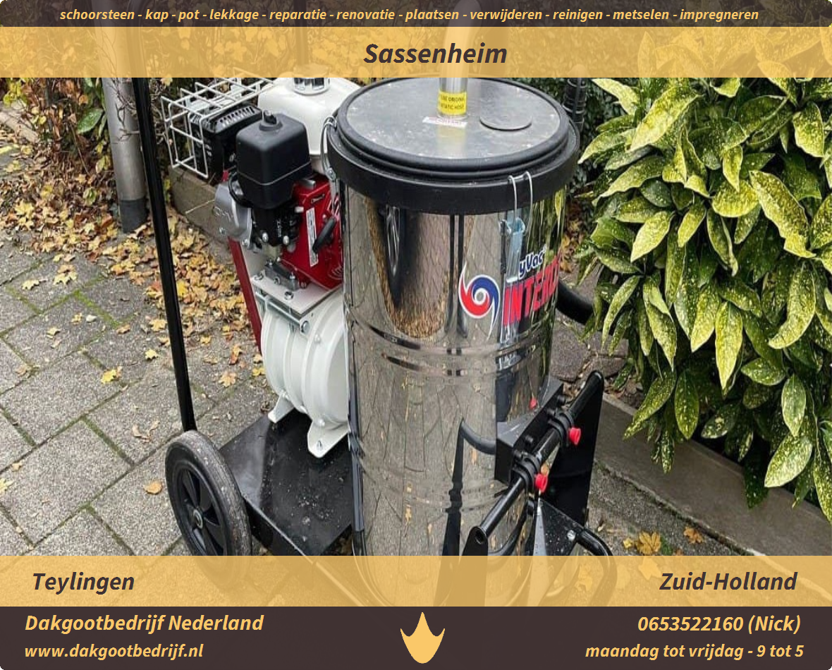 Wat is er mis stereo thuis Dakgoot Schoonmaken Sassenheim 🕿 +31653522160